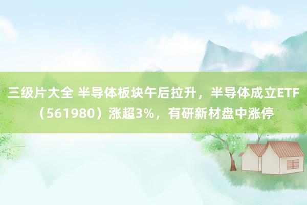 三级片大全 半导体板块午后拉升，半导体成立ETF（561980）涨超3%，有研新材盘中涨停