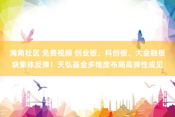 海角社区 免费视频 创业板、科创板、大金融板块集体反弹！天弘基金多维度布局高弹性成见