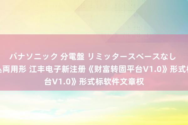 パナソニック 分電盤 リミッタースペースなし 露出・半埋込両用形 江丰电子新注册《财富转固平台V1.0》形式标软件文章权