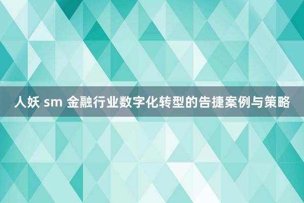 人妖 sm 金融行业数字化转型的告捷案例与策略