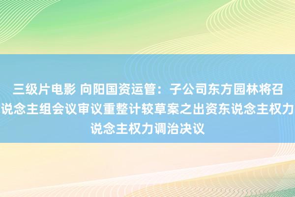 三级片电影 向阳国资运管：子公司东方园林将召开出资东说念主组会议审议重整计较草案之出资东说念主权力调治决议