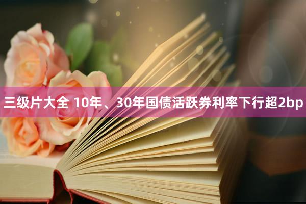 三级片大全 10年、30年国债活跃券利率下行超2bp