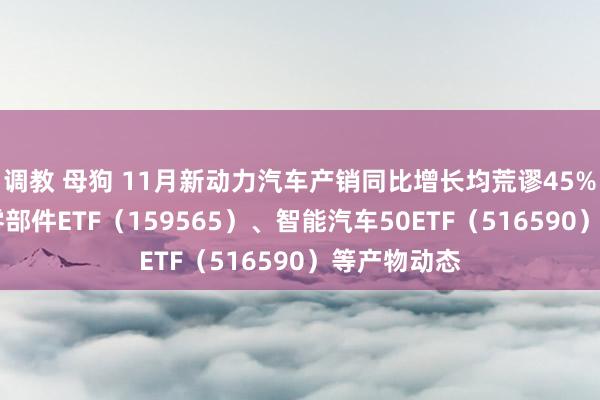 调教 母狗 11月新动力汽车产销同比增长均荒谬45% 暖和汽车零部件ETF（159565）、智能汽车50ETF（516590）等产物动态