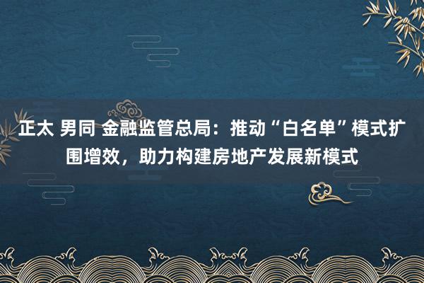 正太 男同 金融监管总局：推动“白名单”模式扩围增效，助力构建房地产发展新模式