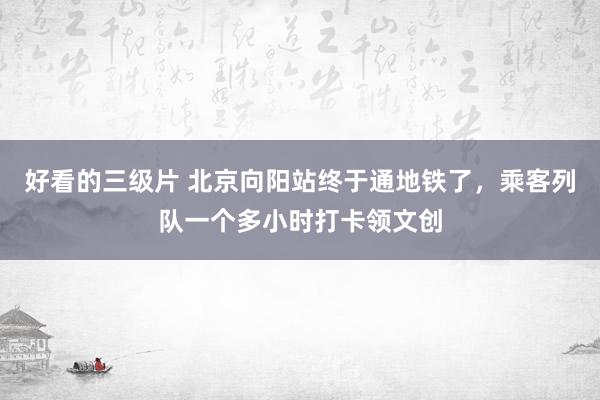 好看的三级片 北京向阳站终于通地铁了，乘客列队一个多小时打卡领文创