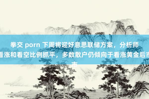 拳交 porn 下周将迎好意思联储方案，分析师看涨和看空比例抓平，多数散户仍倾向于看涨黄金后市