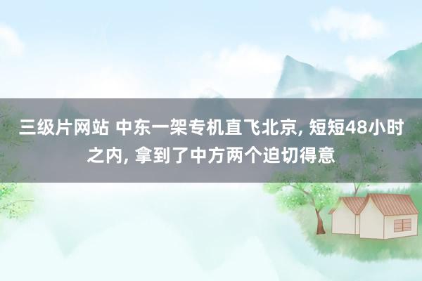 三级片网站 中东一架专机直飞北京, 短短48小时之内, 拿到了中方两个迫切得意