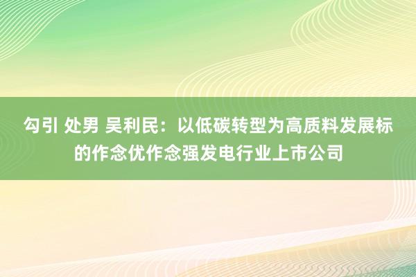 勾引 处男 吴利民：以低碳转型为高质料发展标的作念优作念强发电行业上市公司