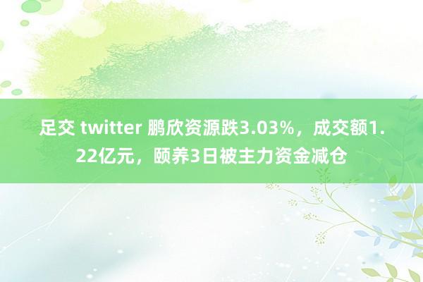 足交 twitter 鹏欣资源跌3.03%，成交额1.22亿元，颐养3日被主力资金减仓