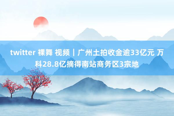 twitter 裸舞 视频｜广州土拍收金逾33亿元 万科28.8亿摘得南站商务区3宗地