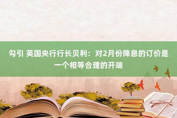 勾引 英国央行行长贝利：对2月份降息的订价是一个相等合理的开端