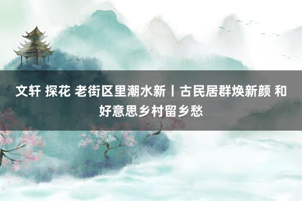 文轩 探花 老街区里潮水新丨古民居群焕新颜 和好意思乡村留乡愁