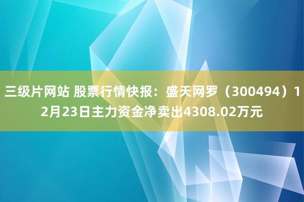 三级片网站 股票行情快报：盛天网罗（300494）12月23日主力资金净卖出4308.02万元