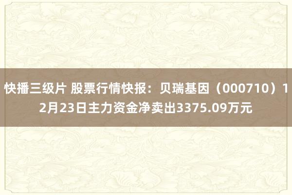 快播三级片 股票行情快报：贝瑞基因（000710）12月23日主力资金净卖出3375.09万元