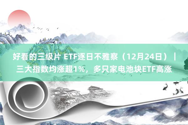 好看的三级片 ETF逐日不雅察（12月24日）｜三大指数均涨超1%，多只家电池块ETF高涨