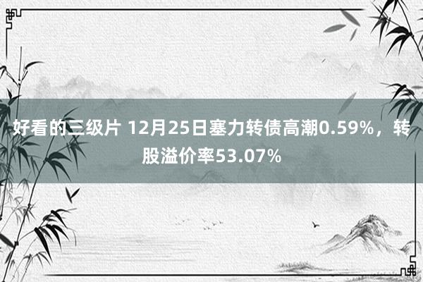 好看的三级片 12月25日塞力转债高潮0.59%，转股溢价率53.07%