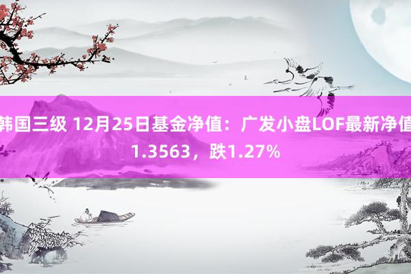 韩国三级 12月25日基金净值：广发小盘LOF最新净值1.3563，跌1.27%