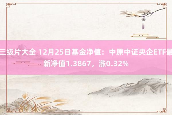 三级片大全 12月25日基金净值：中原中证央企ETF最新净值1.3867，涨0.32%