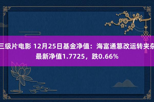 三级片电影 12月25日基金净值：海富通篡改运转夹杂最新净值1.7725，跌0.66%