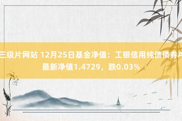 三级片网站 12月25日基金净值：工银信用纯债债券A最新净值1.4729，跌0.03%