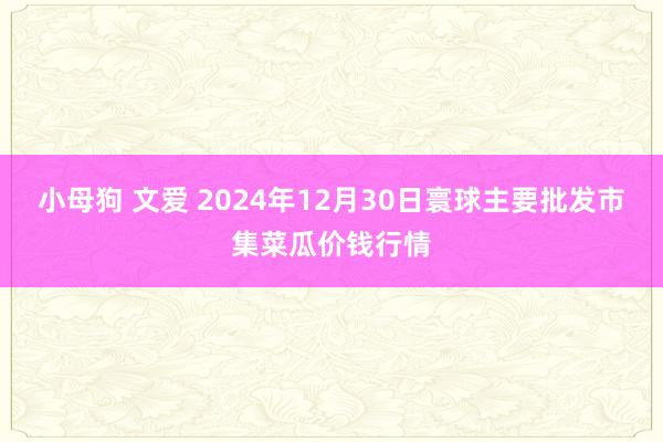 小母狗 文爱 2024年12月30日寰球主要批发市集菜瓜价钱行情