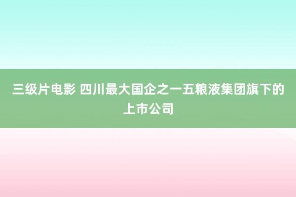 三级片电影 四川最大国企之一五粮液集团旗下的上市公司