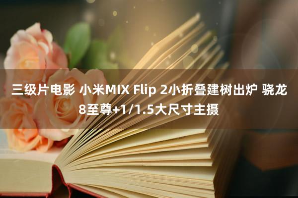 三级片电影 小米MIX Flip 2小折叠建树出炉 骁龙8至尊+1/1.5大尺寸主摄