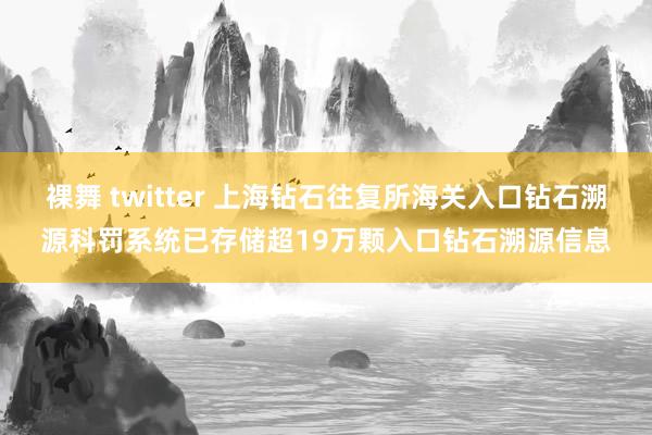 裸舞 twitter 上海钻石往复所海关入口钻石溯源科罚系统已存储超19万颗入口钻石溯源信息