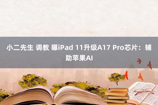 小二先生 调教 曝iPad 11升级A17 Pro芯片：辅助苹果AI