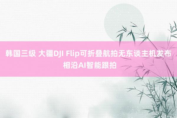 韩国三级 大疆DJI Flip可折叠航拍无东谈主机发布 相沿AI智能跟拍